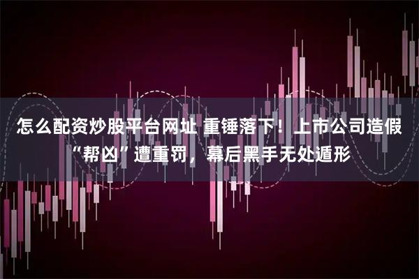 怎么配资炒股平台网址 重锤落下！上市公司造假“帮凶”遭重罚，幕后黑手无处遁形