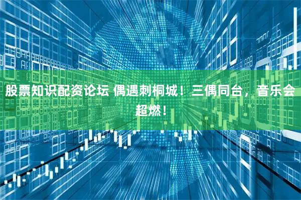股票知识配资论坛 偶遇刺桐城！三偶同台，音乐会超燃！