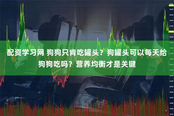 配资学习网 狗狗只肯吃罐头？狗罐头可以每天给狗狗吃吗？营养均衡才是关键