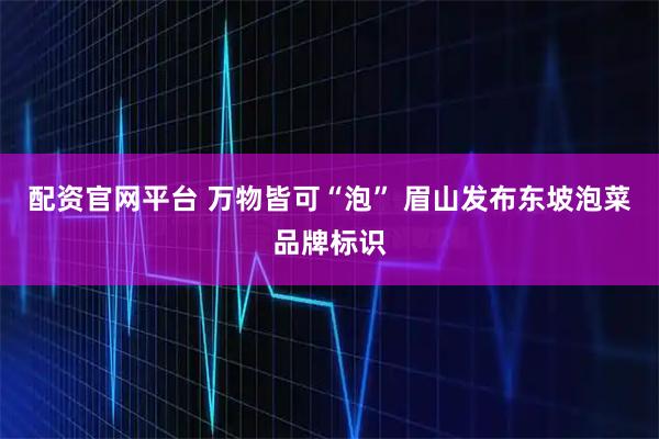 配资官网平台 万物皆可“泡” 眉山发布东坡泡菜品牌标识